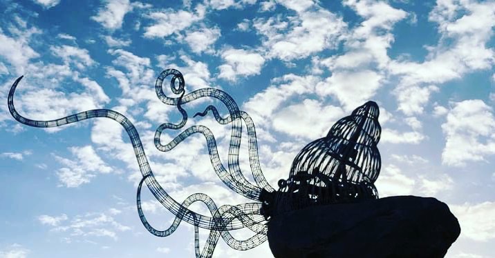 Octopus from shell. 3m long stainless steel wire